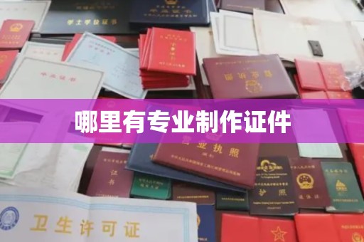 慈利哪里有专业制作证件